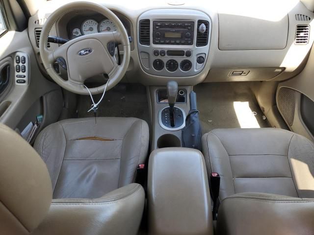 2005 Ford Escape XLT