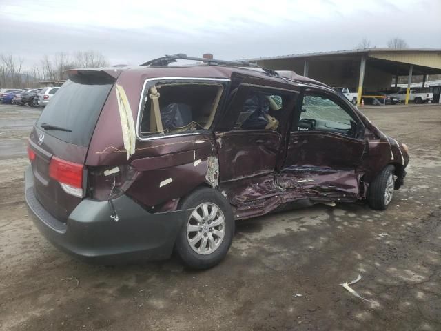 2008 Honda Odyssey EXL