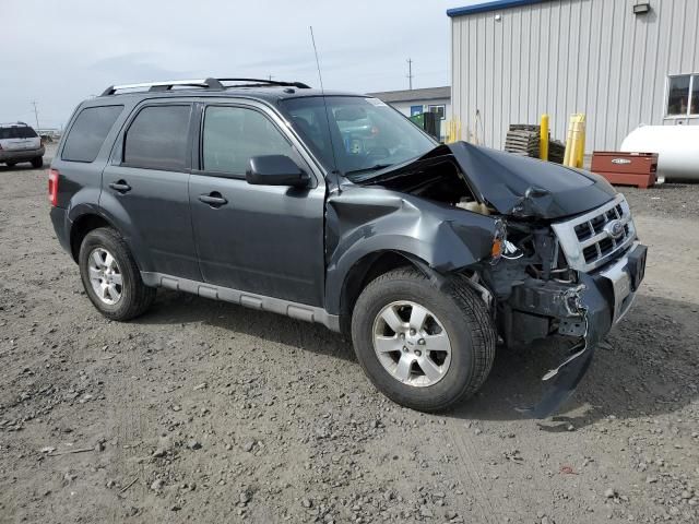 2009 Ford Escape Limited