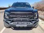 2019 Ford F150 Rapto