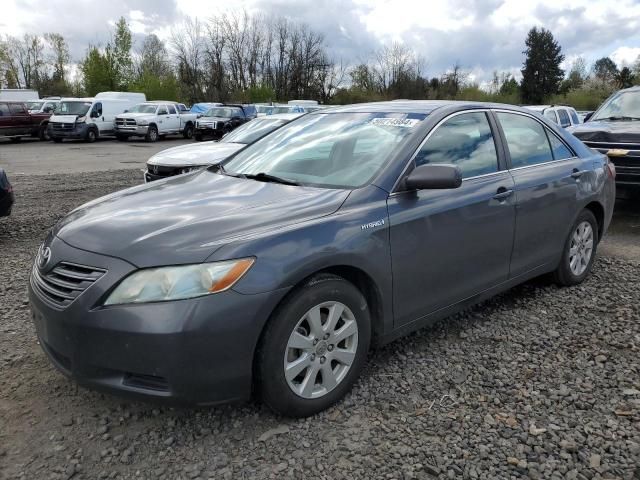 2007 Toyota Camry Hybrid