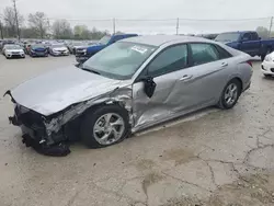 Salvage cars for sale from Copart Lawrenceburg, KY: 2023 Hyundai Elantra SE