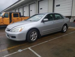 Honda Accord ex salvage cars for sale: 2006 Honda Accord EX