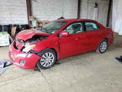 Toyota Corolla salvage cars for sale: 2013 Toyota Corolla Base