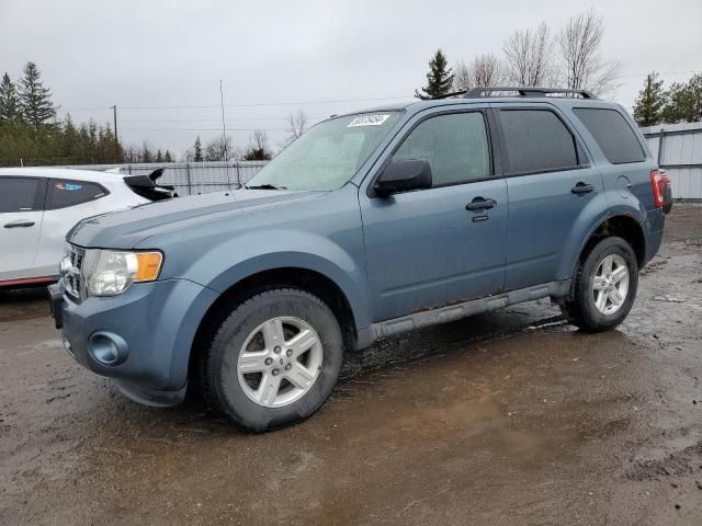 2011 Ford Escape XLT