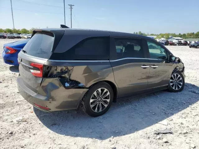 2021 Honda Odyssey EXL