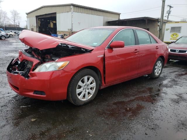 2009 Toyota Camry Hybrid