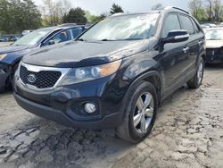 Salvage cars for sale from Copart Madisonville, TN: 2013 KIA Sorento EX