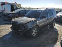 Salvage cars for sale at Cahokia Heights, IL auction: 2007 Ford Escape XLT