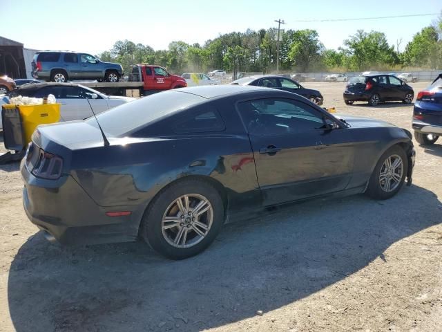 2014 Ford Mustang