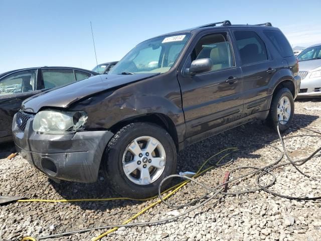 2006 Ford Escape XLT