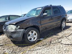 Ford Escape salvage cars for sale: 2006 Ford Escape XLT