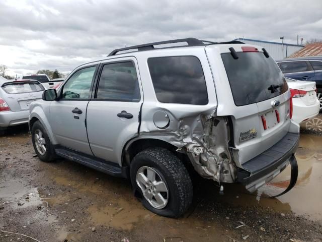 2009 Ford Escape XLT