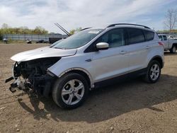 Salvage cars for sale at Columbia Station, OH auction: 2016 Ford Escape SE