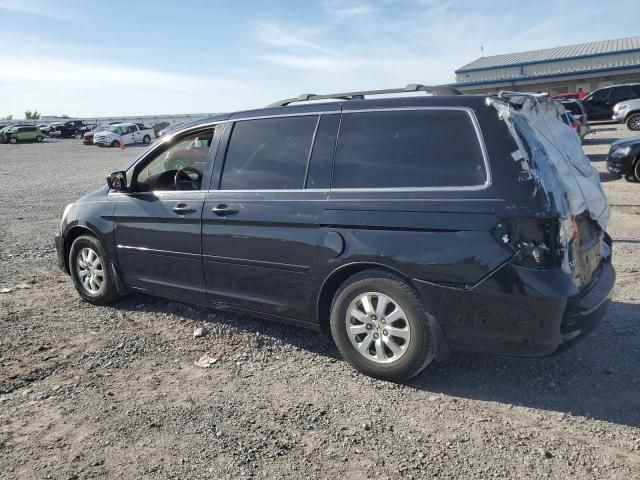 2009 Honda Odyssey EXL