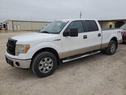 Ford salvage cars for sale: 2010 Ford F150 Supercrew