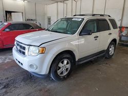 Salvage cars for sale at Madisonville, TN auction: 2009 Ford Escape XLT