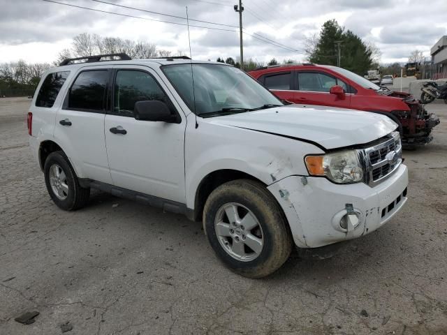 2009 Ford Escape XLT