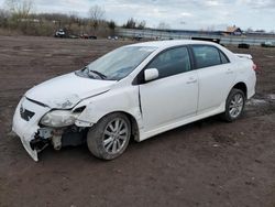 Salvage cars for sale at Columbia Station, OH auction: 2010 Toyota Corolla Base