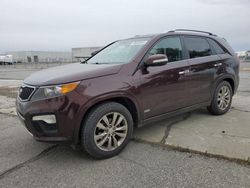 KIA Vehiculos salvage en venta: 2012 KIA Sorento SX