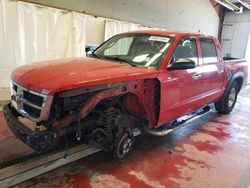 Salvage cars for sale from Copart Angola, NY: 2008 Dodge Dakota Quad SLT