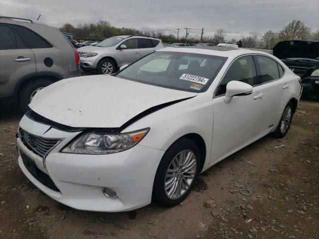 2013 Lexus ES 300H