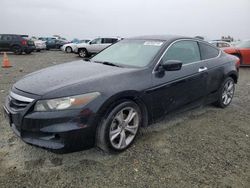 Honda Accord exl salvage cars for sale: 2012 Honda Accord EXL