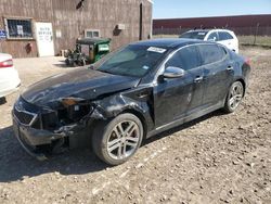 Salvage cars for sale at Rapid City, SD auction: 2013 KIA Optima SX