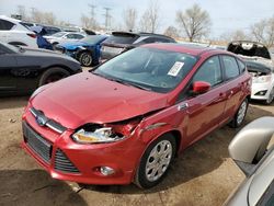 Ford Focus se salvage cars for sale: 2012 Ford Focus SE