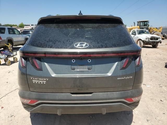 2023 Hyundai Tucson SEL Convenience