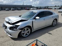 Salvage cars for sale from Copart Harleyville, SC: 2012 Nissan Maxima S