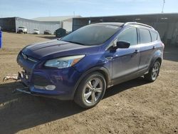 Salvage cars for sale at Brighton, CO auction: 2014 Ford Escape SE
