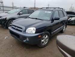 Salvage cars for sale at Chicago Heights, IL auction: 2005 Hyundai Santa FE GLS