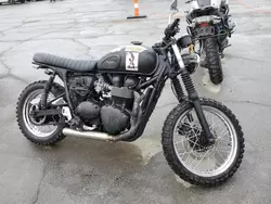 Salvage motorcycles for sale at San Diego, CA auction: 2013 Triumph Scrambler