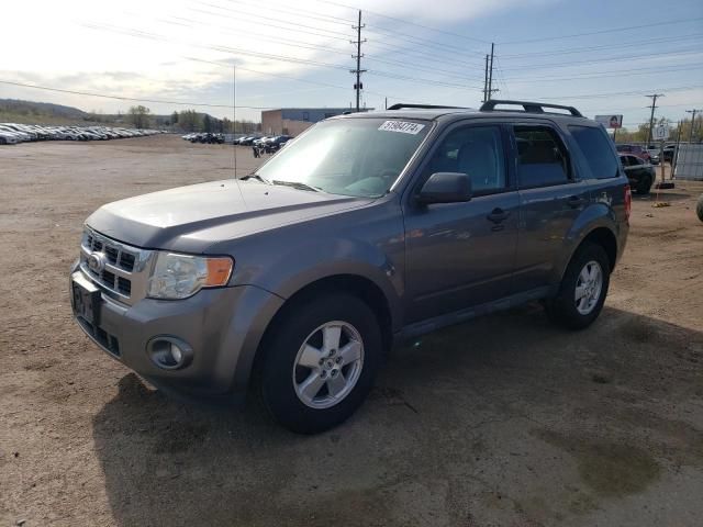 2010 Ford Escape XLT