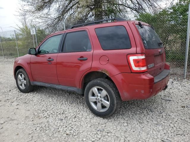 2011 Ford Escape XLT