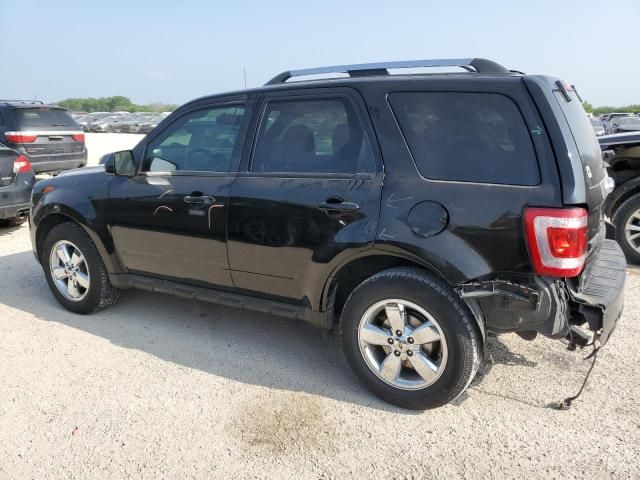 2011 Ford Escape Limited