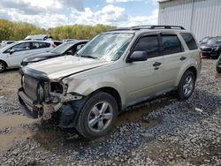 Salvage cars for sale from Copart Windsor, NJ: 2011 Ford Escape XLT