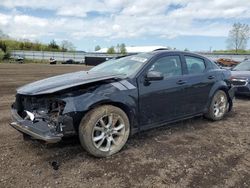 Salvage cars for sale at Columbia Station, OH auction: 2012 Dodge Avenger R/T