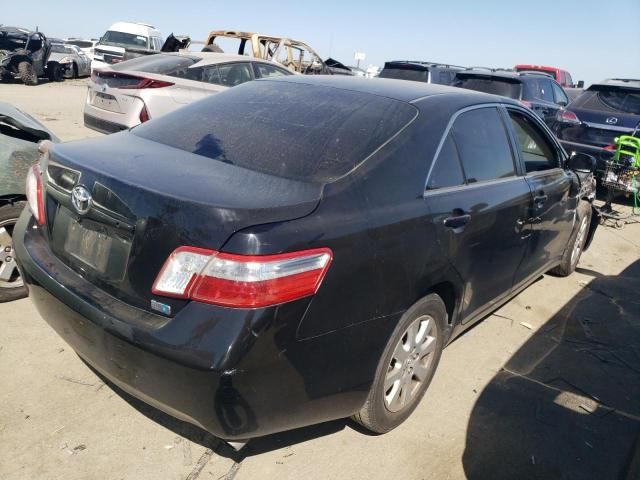 2009 Toyota Camry Hybrid