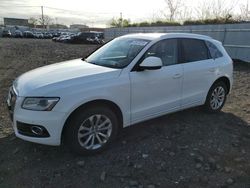 Salvage cars for sale from Copart Marlboro, NY: 2013 Audi Q5 Premium Plus