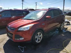 Salvage cars for sale at Chicago Heights, IL auction: 2016 Ford Escape SE