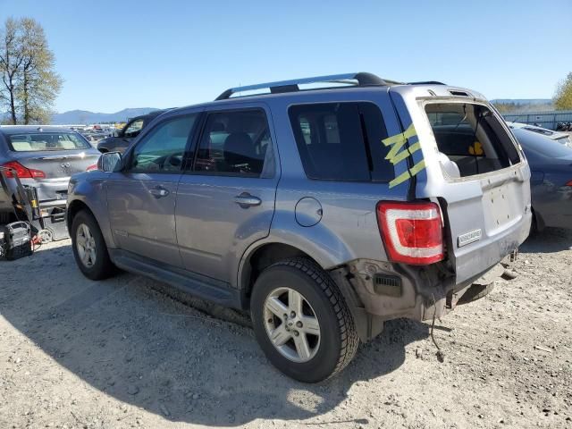 2008 Ford Escape HEV