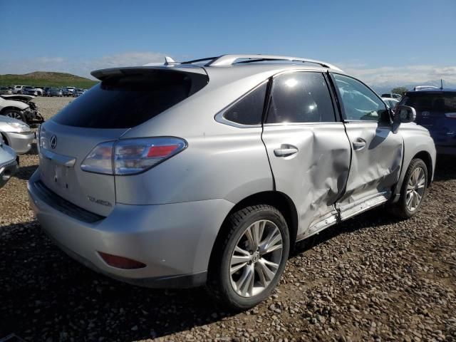 2010 Lexus RX 450