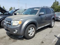 Salvage cars for sale at Rancho Cucamonga, CA auction: 2010 Ford Escape XLT
