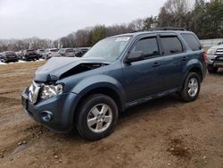 Ford Vehiculos salvage en venta: 2012 Ford Escape XLT