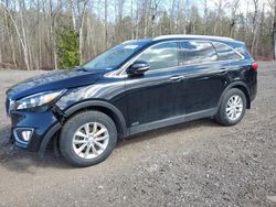 Salvage cars for sale at Bowmanville, ON auction: 2017 KIA Sorento LX