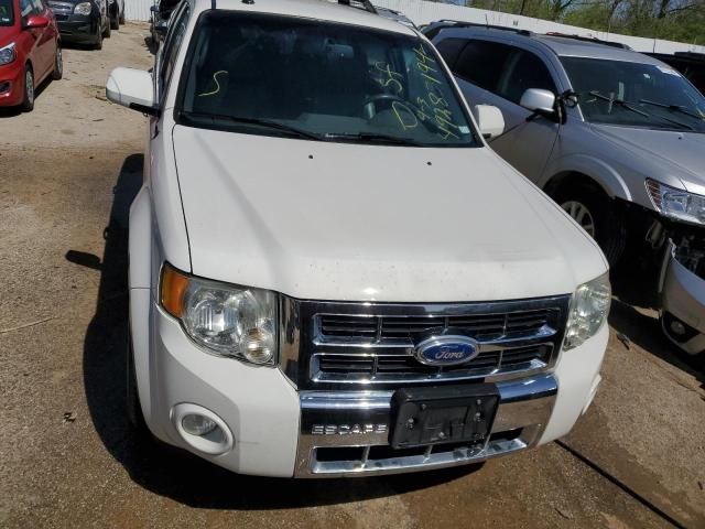 2011 Ford Escape Limited