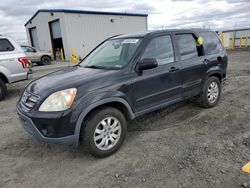 Honda CR-V SE salvage cars for sale: 2006 Honda CR-V SE