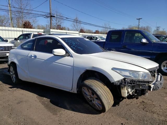 2010 Honda Accord EXL